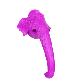 Mammoth head isolated on transparent png