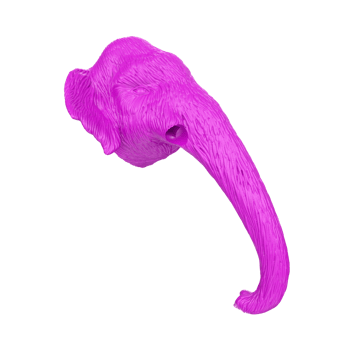 Mammoth head isolated on transparent png