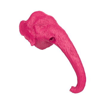 Mammoth head isolated on transparent png