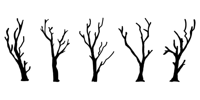 Black Branch Tree or Naked trees silhouettes set. Hand drawn isolated illustrations. vector