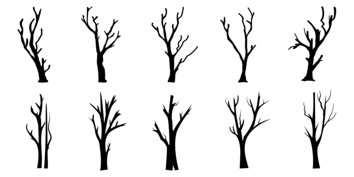 Black Branch Tree or Naked trees silhouettes set. Hand drawn isolated illustrations. vector