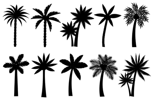 Collection of Black Coconut or palm trees Icon. Can be used to illustrate any nature or healthy lifestyle topic. vector