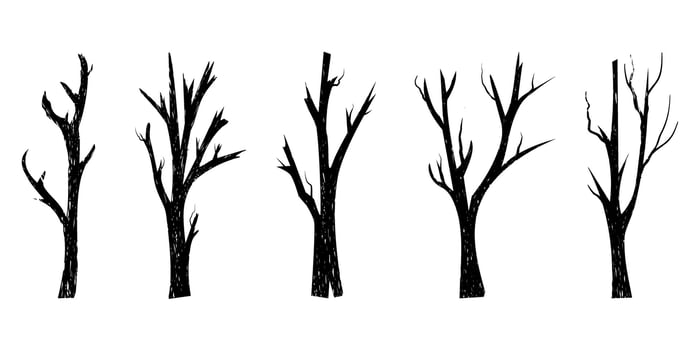 Naked trees silhouettes set on white background. Hand drawn isolated illustrations. vector