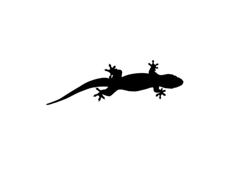 House Lizard also called House Gecko or Gekkonidae Silhouette for Art Illustration, Logo, Pictogram or Graphic Design Element. Vector Illustration