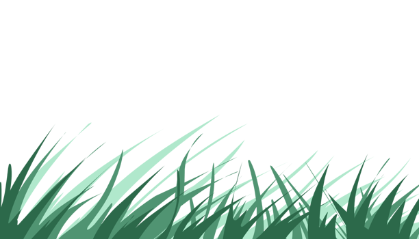 Green grass plant illustration background png
