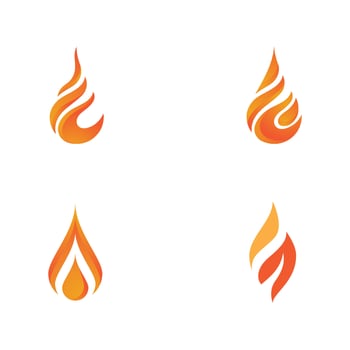Falcon Logo Template vector