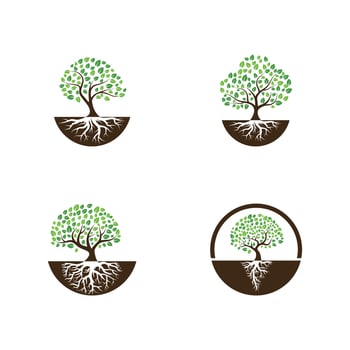 Logos of green Tree leaf ecology vector
