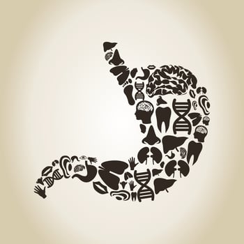 Abstraction on the topic of body parts vector