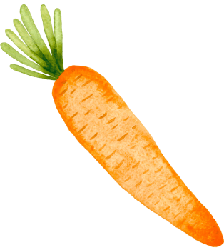 Watercolor carrot illustration. Hand drawn carrot isolated png