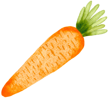 Watercolor carrot illustration. Hand drawn carrot isolated on white background png