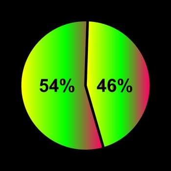 Candidate Stats Vector Icon