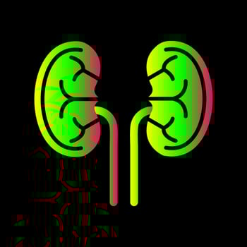 Kidney  Unique Vector Icon