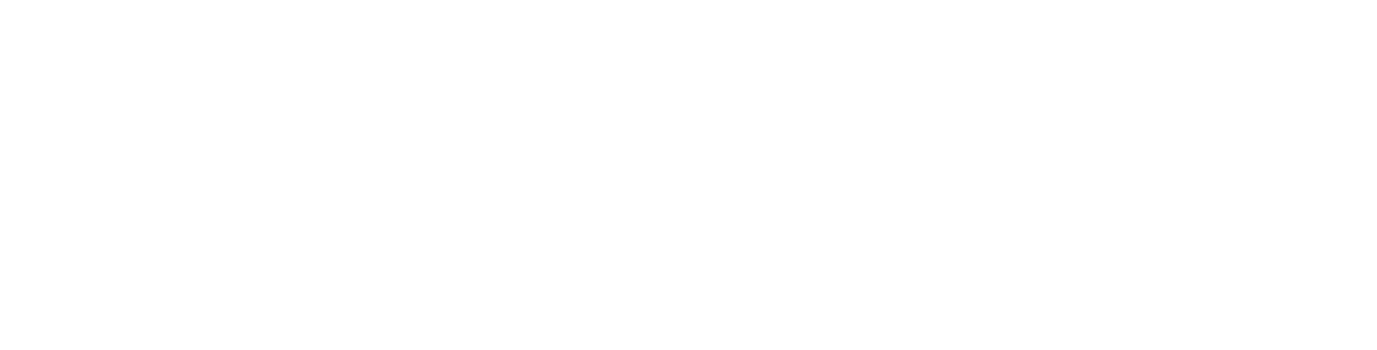 wing design illustration isolated on transparent background png