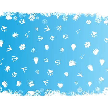 Winter blue background with snowflakes. A vector illustration