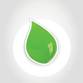 Plant sprout on a grey background. A vector illustration