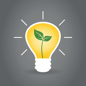 Plant in a bulb. A vector illustration