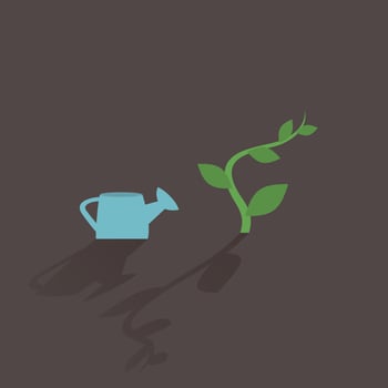 The plant and watering. Vector illustration