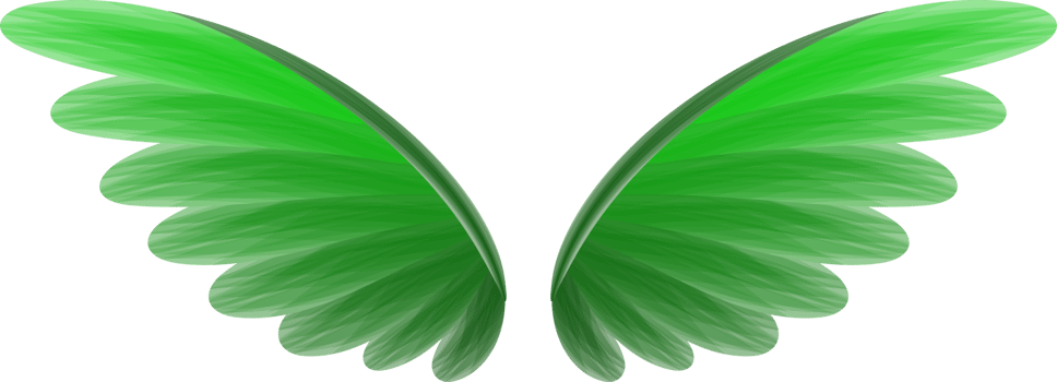 angel bird wings png