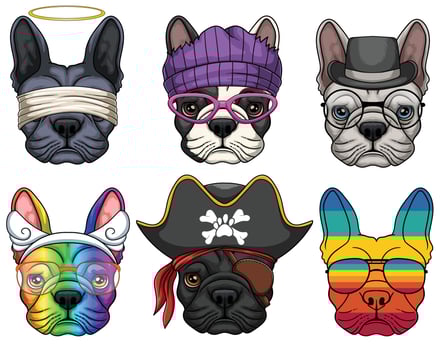 French bulldog fashion set collection vector