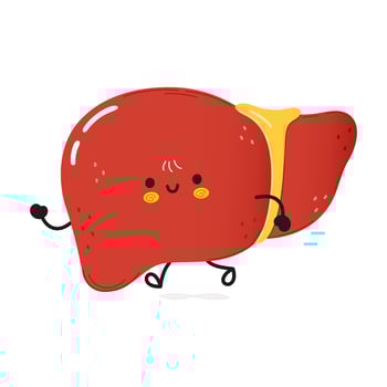 Cute funny running liver. Vector hand drawn cartoon kawaii character illustration icon. Isolated on white background. Run liver concept