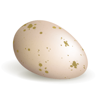 Easter light beige composition with egg and bunny ears, postcard. png