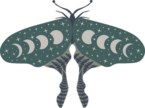 Celestial butterfly vector illustration. Mystical luna moth with moon phases. Magic floral insect on white background. Design for boho poster, card, madical t shirt print, tag, sticker.