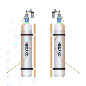 real gas tanks with meter on white background vector