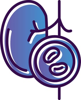 Kidney Checkup Vector Icon Design