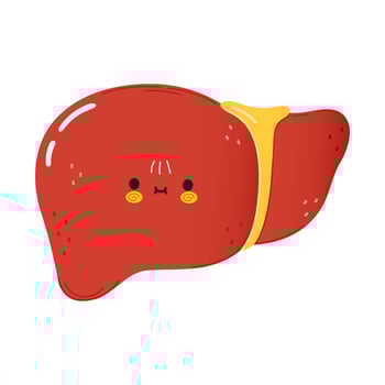 Cute funny liver character. Vector hand drawn cartoon kawaii character illustration icon. Isolated on white background. Liver character concept