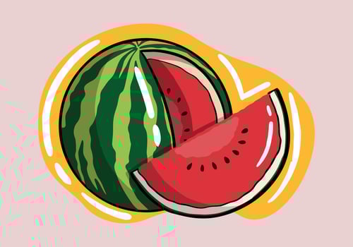 Hand drawn watermelon Slice Vector Set. Watermelon Illustration Fruit Vector Design.
