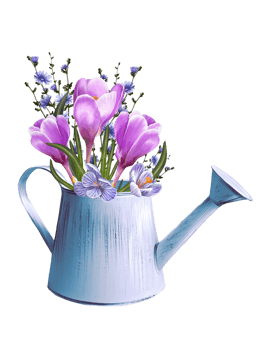 crocuses in a flowerpot illustration png