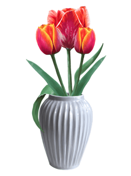 bunch of red tulips in a vase illustration png