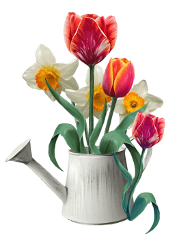 bouquet of daffodils and tulips in a flower pot illustration png