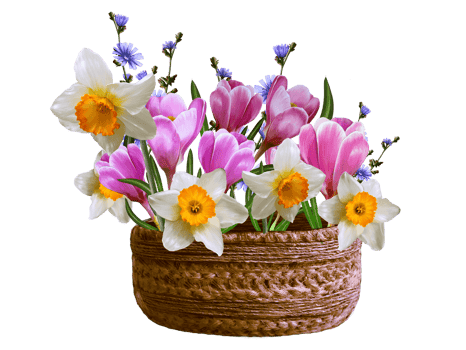 easter flower arrangement illustration png