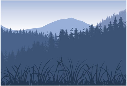 Vector illustration of a beautiful panoramic view.