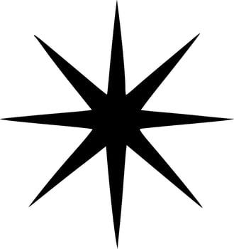 black star shape vector