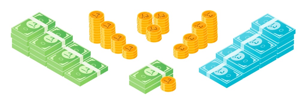 United Arab Emirates Dirham Money and Coin Bundle Set vector