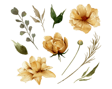 Watercolor golden flowers and leaves individual element illustration png