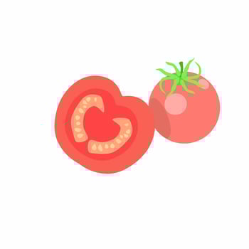 Tomato with slice tomatoes. vector illustration. flat design