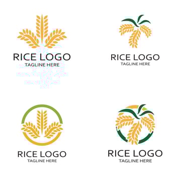 Paddy plant logo,rice grain logo,rice,natural organic farming,for business,company,agriculture,product,farm shop,agricultural equipment,rice warehouse,with modern minimalist vector