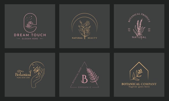 Botanical Floral element Hand Drawn Logo with Wild Flower and Leaves vector