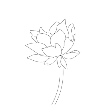 Water Lily Flower Coloring Page And Book lotus Hand Drawn Line Art Vector