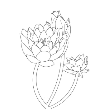 Water Lily Flower Coloring Page And Book lotus Hand Drawn Line Art Vector