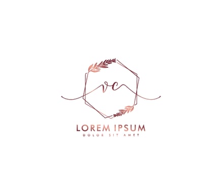 Initial letter VC Feminine logo beauty monogram and elegant logo design, handwriting logo of initial signature, wedding, fashion, floral and botanical with creative template vector
