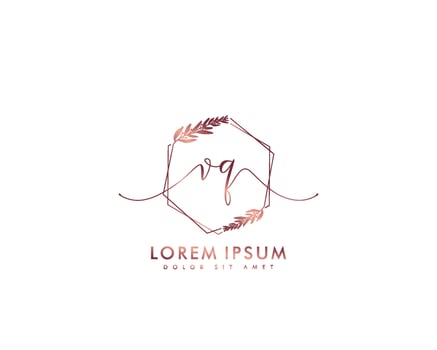 Initial letter VQ Feminine logo beauty monogram and elegant logo design, handwriting logo of initial signature, wedding, fashion, floral and botanical with creative template vector