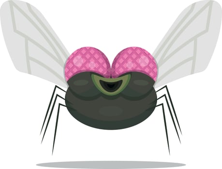 smiling cartoon fly vector illustration