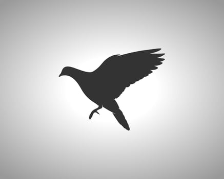 Pigeon Vector Silhouette