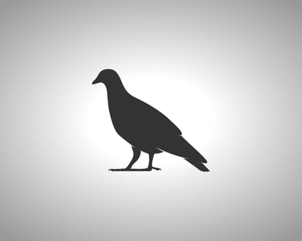 Pigeon Vector Silhouette