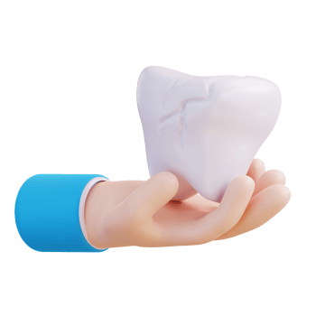 3d illustration of hand holding cavities png