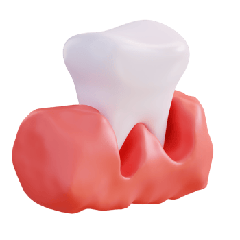 3d illustration of teeth and gums png
